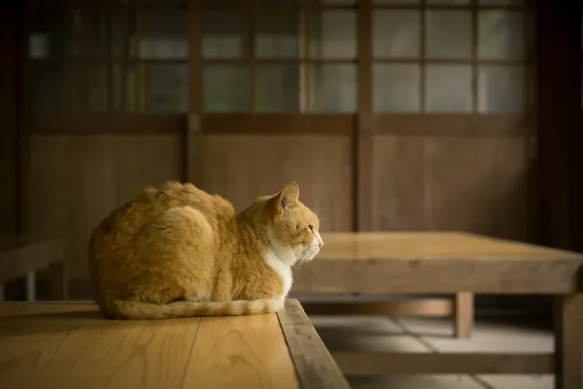 姿勢が完璧な人はなかなかいません