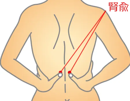 腰の痛みには筋肉の柔軟性だけでなく、ツボも押してみよう！